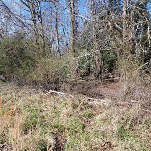 Photo #8 of Lot 5 CLEARWATER WAY, BELLE HAVEN, VA 4.3 acres