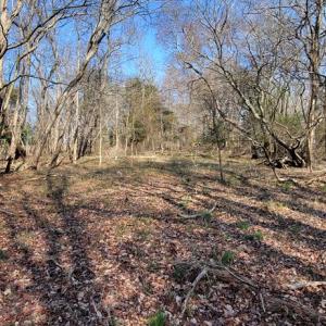 Photo #9 of Lot 5 CLEARWATER WAY, BELLE HAVEN, VA 4.3 acres