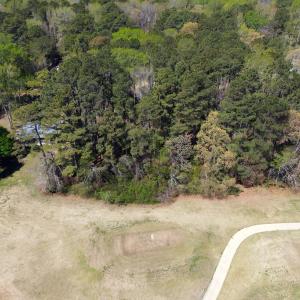 Photo #4 of 146 CAPTAINS CORRIDOR, GREENBACKVILLE, VA 76.0 acres