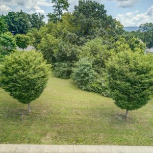 Photo #16 of TBD FOREST AVE, WAYNESBORO, VA 0.2 acres