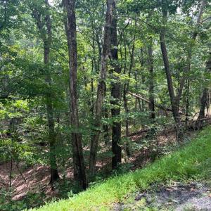 Photo #2 of Lot 102 GREENVIEW DR, BASYE, VA 0.6 acres