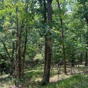 Photo #3 of Lot 102 GREENVIEW DR, BASYE, VA 0.6 acres