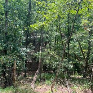 Photo #5 of Lot 102 GREENVIEW DR, BASYE, VA 0.6 acres