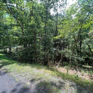 Photo #6 of Lot 102 GREENVIEW DR, BASYE, VA 0.6 acres
