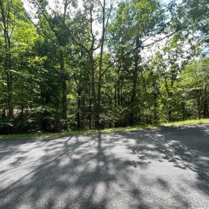 Photo #7 of Lot 102 GREENVIEW DR, BASYE, VA 0.6 acres