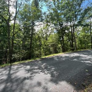 Photo #8 of Lot 102 GREENVIEW DR, BASYE, VA 0.6 acres