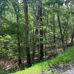 Photo #1 of Lot 102 GREENVIEW DR, BASYE, VA 0.6 acres