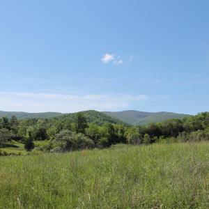 Photo #2 of TBD STONE BROOK DR, STANARDSVILLE, VA 116.4 acres