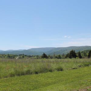 Photo #11 of TBD STONE BROOK DR, STANARDSVILLE, VA 116.4 acres