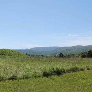 Photo #5 of TBD STONE BROOK DR, STANARDSVILLE, VA 116.4 acres