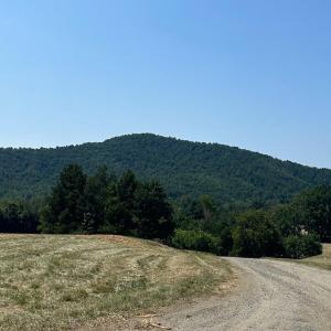 Photo #6 of TBD STONE BROOK DR, STANARDSVILLE, VA 116.4 acres