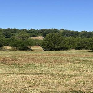 Photo #7 of TBD STONE BROOK DR, STANARDSVILLE, VA 116.4 acres