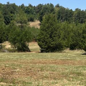 Photo #9 of TBD STONE BROOK DR, STANARDSVILLE, VA 116.4 acres