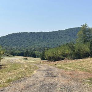 Photo #10 of TBD STONE BROOK DR, STANARDSVILLE, VA 116.4 acres