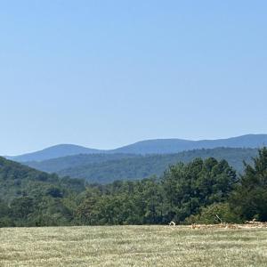 Photo #1 of TBD STONE BROOK DR, STANARDSVILLE, VA 116.4 acres