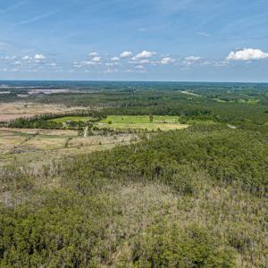 Photo #10 of Lot 32* YOUNGS CREEK RD, BLOXOM, VA 19.0 acres