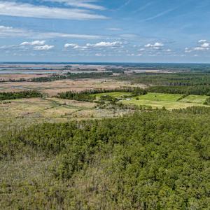 Photo #11 of Lot 32* YOUNGS CREEK RD, BLOXOM, VA 19.0 acres