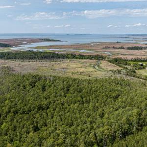 Photo #12 of Lot 32* YOUNGS CREEK RD, BLOXOM, VA 19.0 acres