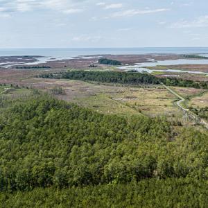 Photo #13 of Lot 32* YOUNGS CREEK RD, BLOXOM, VA 19.0 acres