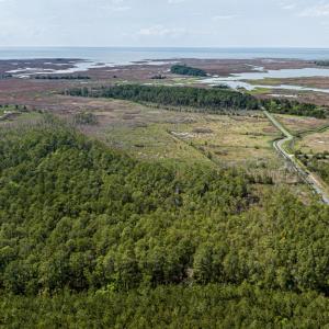 Photo #14 of Lot 32* YOUNGS CREEK RD, BLOXOM, VA 19.0 acres