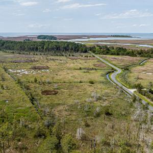 Photo #15 of Lot 32* YOUNGS CREEK RD, BLOXOM, VA 19.0 acres