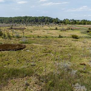 Photo #16 of Lot 32* YOUNGS CREEK RD, BLOXOM, VA 19.0 acres