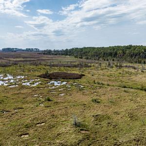 Photo #17 of Lot 32* YOUNGS CREEK RD, BLOXOM, VA 19.0 acres