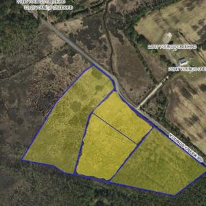 Photo #3 of Lot 32* YOUNGS CREEK RD, BLOXOM, VA 19.0 acres