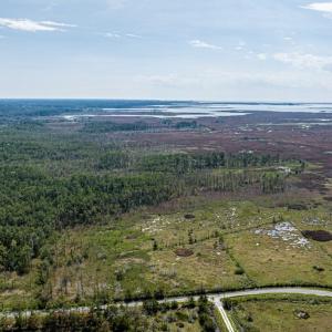 Photo #4 of Lot 32* YOUNGS CREEK RD, BLOXOM, VA 19.0 acres