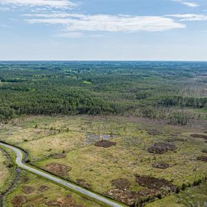 Photo #5 of Lot 32* YOUNGS CREEK RD, BLOXOM, VA 19.0 acres