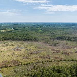 Photo #6 of Lot 32* YOUNGS CREEK RD, BLOXOM, VA 19.0 acres