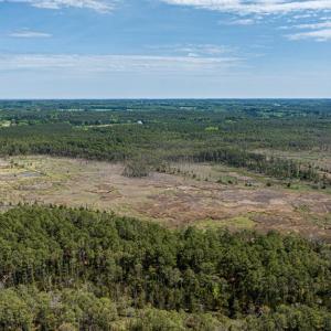 Photo #7 of Lot 32* YOUNGS CREEK RD, BLOXOM, VA 19.0 acres