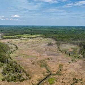 Photo #8 of Lot 32* YOUNGS CREEK RD, BLOXOM, VA 19.0 acres