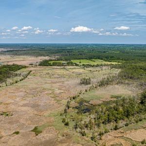 Photo #9 of Lot 32* YOUNGS CREEK RD, BLOXOM, VA 19.0 acres