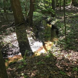 Photo #3 of Lot A AIRPORT DR, MELFA, VA 5.0 acres