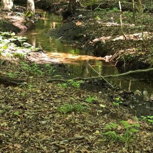 Photo #4 of Lot A AIRPORT DR, MELFA, VA 5.0 acres