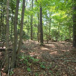 Photo #6 of Lot A AIRPORT DR, MELFA, VA 5.0 acres
