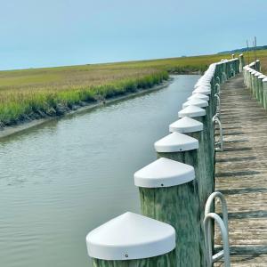 Photo #10 of Lot 55 LEWIS LANE, PARKSLEY, VA 1.2 acres