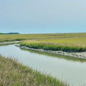 Photo #11 of Lot 55 LEWIS LANE, PARKSLEY, VA 1.2 acres