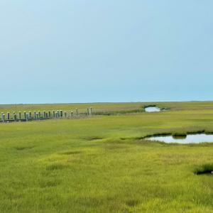 Photo #14 of Lot 55 LEWIS LANE, PARKSLEY, VA 1.2 acres