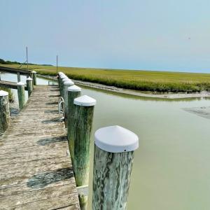 Photo #17 of Lot 55 LEWIS LANE, PARKSLEY, VA 1.2 acres