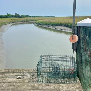 Photo #18 of Lot 55 LEWIS LANE, PARKSLEY, VA 1.2 acres