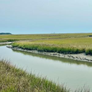 Photo #19 of Lot 55 LEWIS LANE, PARKSLEY, VA 1.2 acres