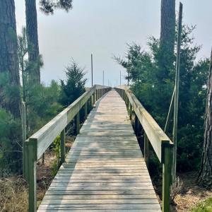 Photo #23 of Lot 55 LEWIS LANE, PARKSLEY, VA 1.2 acres