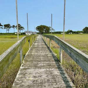 Photo #24 of Lot 55 LEWIS LANE, PARKSLEY, VA 1.2 acres