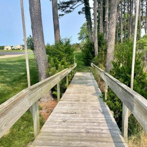 Photo #26 of Lot 55 LEWIS LANE, PARKSLEY, VA 1.2 acres