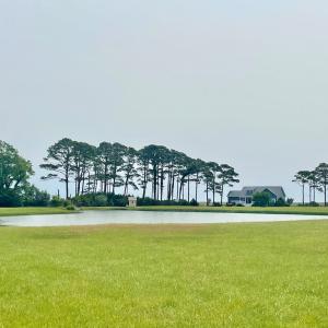 Photo #32 of Lot 55 LEWIS LANE, PARKSLEY, VA 1.2 acres