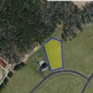 Photo #39 of Lot 55 LEWIS LANE, PARKSLEY, VA 1.2 acres