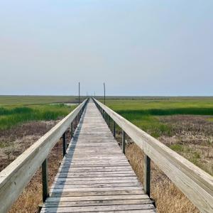 Photo #6 of Lot 55 LEWIS LANE, PARKSLEY, VA 1.2 acres