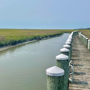 Photo #8 of Lot 55 LEWIS LANE, PARKSLEY, VA 1.2 acres